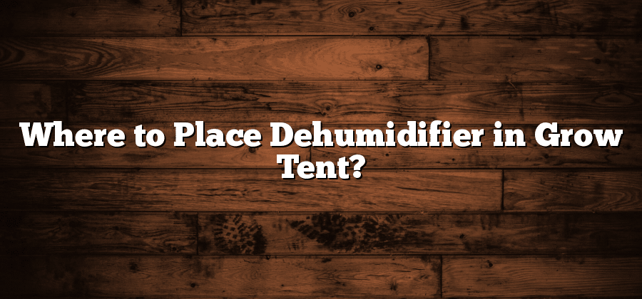 Where to Place Dehumidifier in Grow Tent?