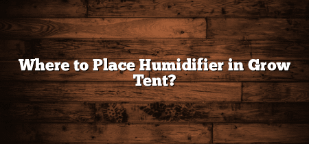 Where to Place Humidifier in Grow Tent?