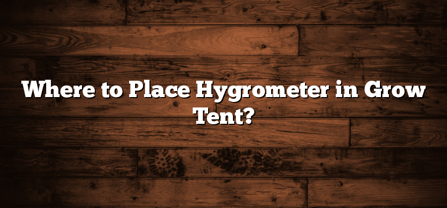 Where to Place Hygrometer in Grow Tent?