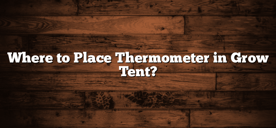 Where to Place Thermometer in Grow Tent?