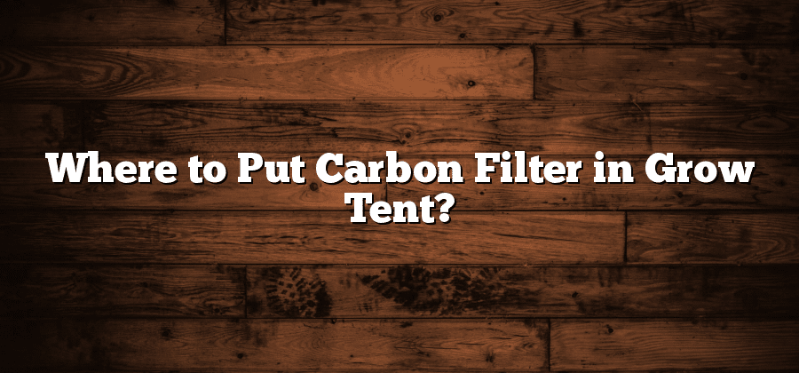 Where to Put Carbon Filter in Grow Tent?