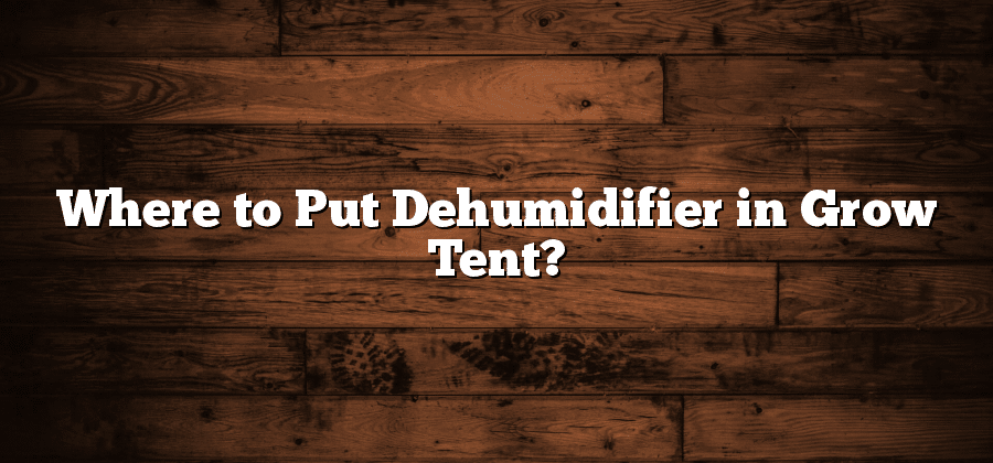 Where to Put Dehumidifier in Grow Tent?