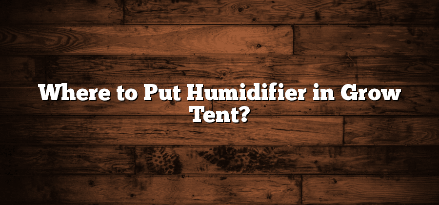 Where to Put Humidifier in Grow Tent?