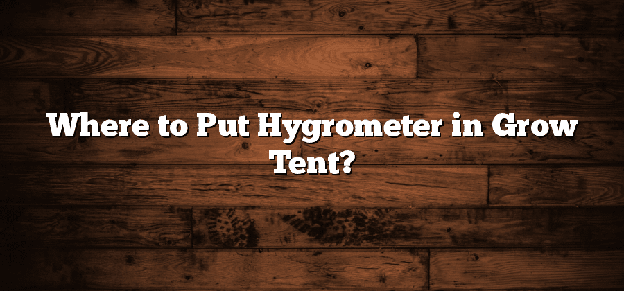 Where to Put Hygrometer in Grow Tent?