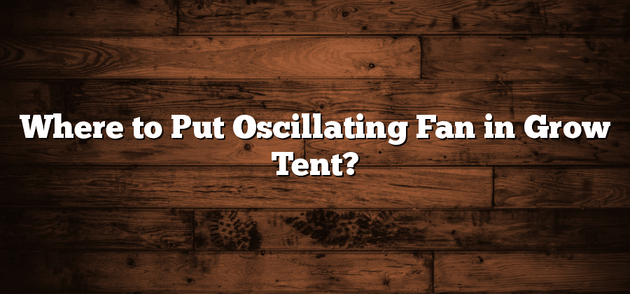 Where to Put Oscillating Fan in Grow Tent?