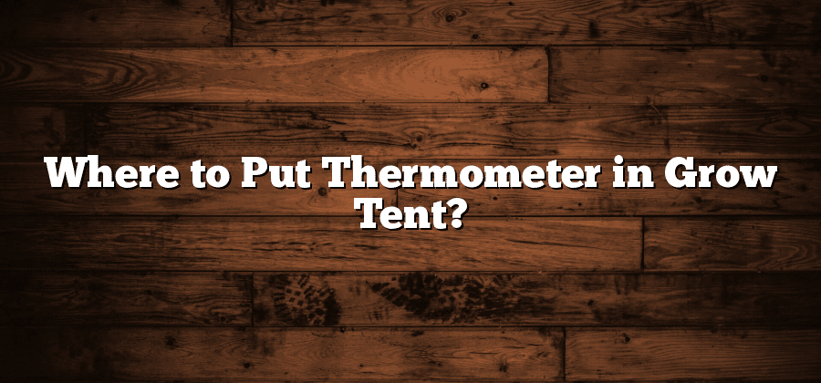 Where to Put Thermometer in Grow Tent?
