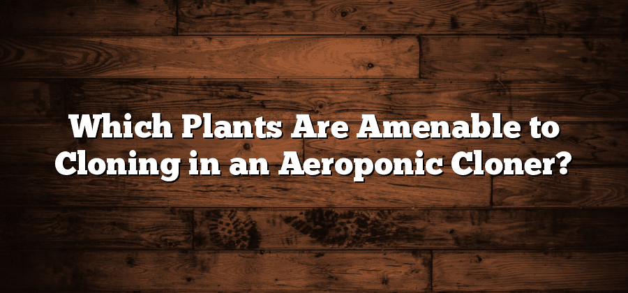 Which Plants Are Amenable to Cloning in an Aeroponic Cloner?