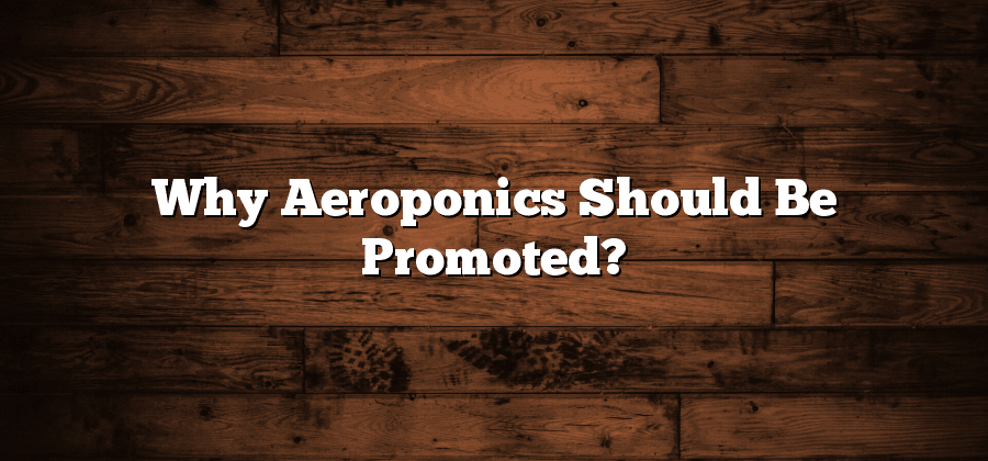 Why Aeroponics Should Be Promoted?