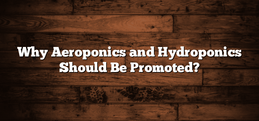 Why Aeroponics and Hydroponics Should Be Promoted?