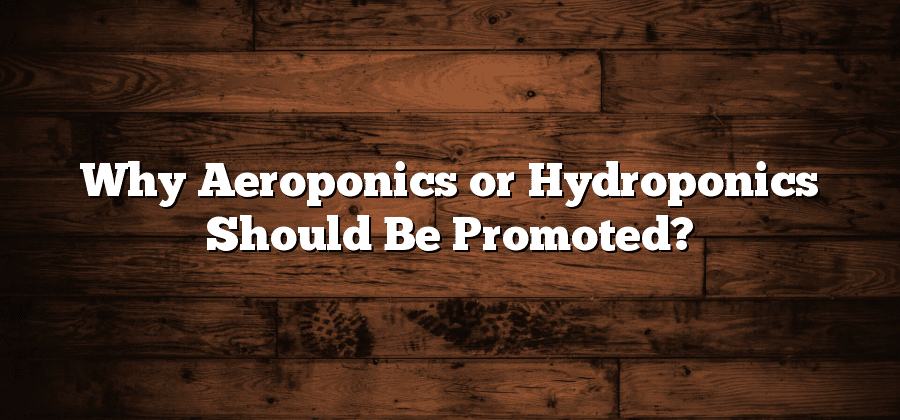 Why Aeroponics or Hydroponics Should Be Promoted?