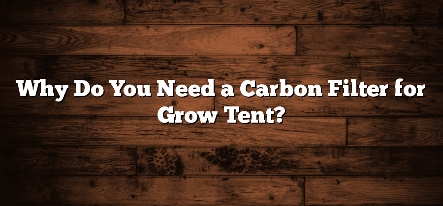 Why Do You Need a Carbon Filter for Grow Tent?