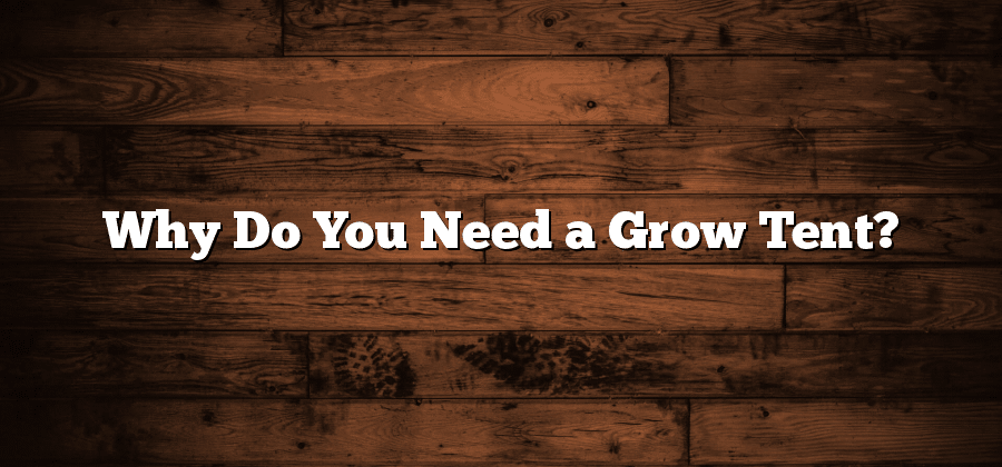 Why Do You Need a Grow Tent?