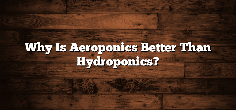 Why Is Aeroponics Better Than Hydroponics?