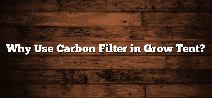 Why Use Carbon Filter in Grow Tent?