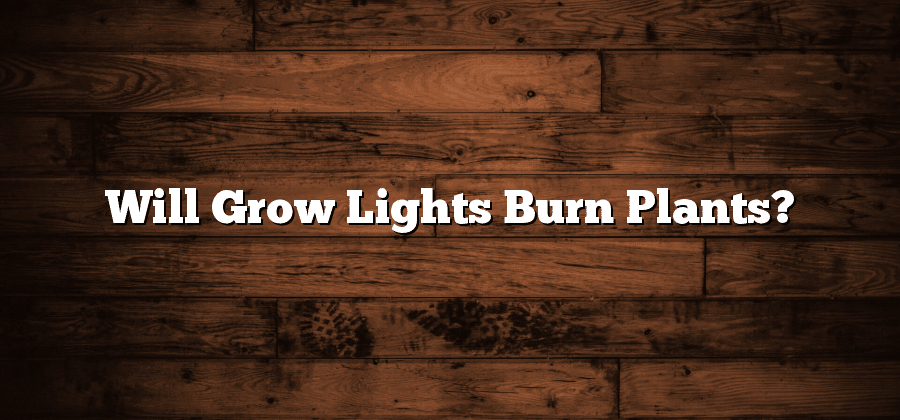 Will Grow Lights Burn Plants?
