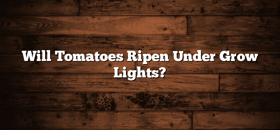 Will Tomatoes Ripen Under Grow Lights?