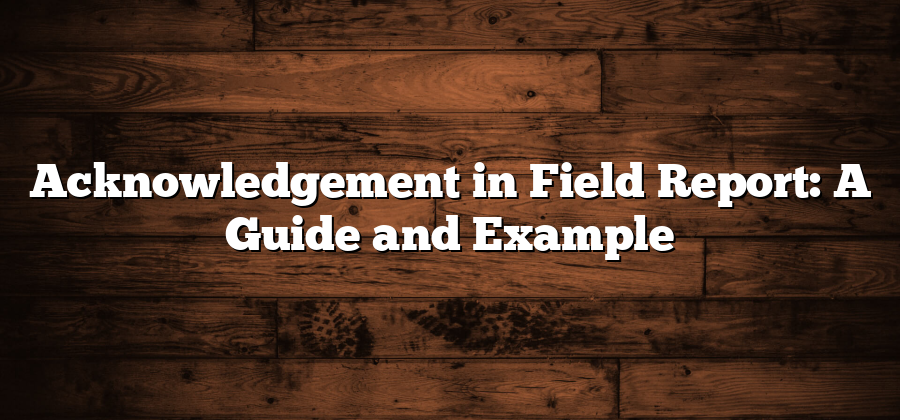 Acknowledgement in Field Report: A Guide and Example