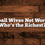 Basketball Wives Net Worth 2024: Who’s the Richest?