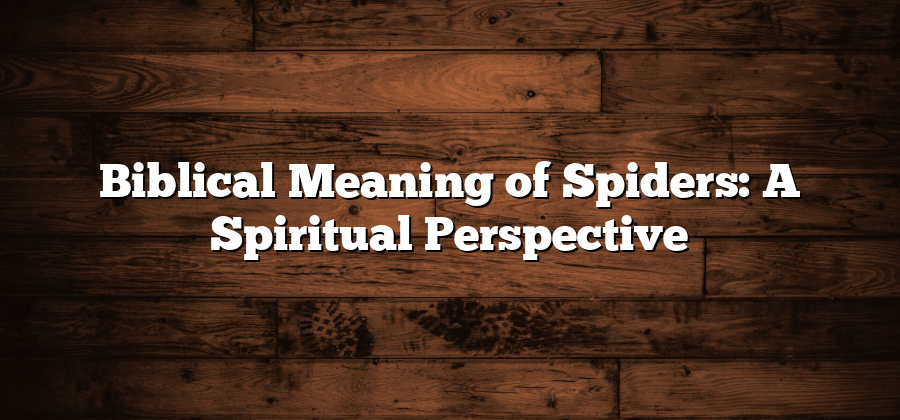 Biblical Meaning of Spiders: A Spiritual Perspective