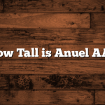 How Tall is Anuel AA?