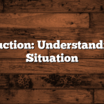 Introduction: Understanding the Situation