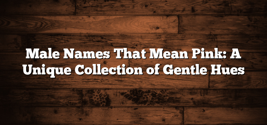 Male Names That Mean Pink: A Unique Collection of Gentle Hues