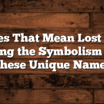 Names That Mean Lost Soul: Exploring the Symbolism Behind These Unique Names