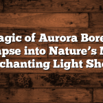 The Magic of Aurora Borealis: A Glimpse into Nature’s Most Enchanting Light Show