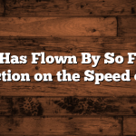 Time Has Flown By So Fast: A Reflection on the Speed of Life