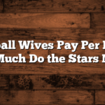 Basketball Wives Pay Per Episode: How Much Do the Stars Make?