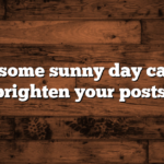 Here are some sunny day captions to brighten your posts: