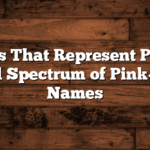 Names That Represent Pink: A Beautiful Spectrum of Pink-Inspired Names