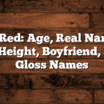 Sexyy Red: Age, Real Name, Net Worth, Height, Boyfriend, and Lip Gloss Names