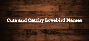 Cute and Catchy Lovebird Names