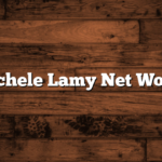 Michele Lamy Net Worth