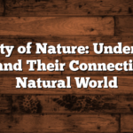 The Beauty of Nature: Understanding Similes and Their Connection to the Natural World