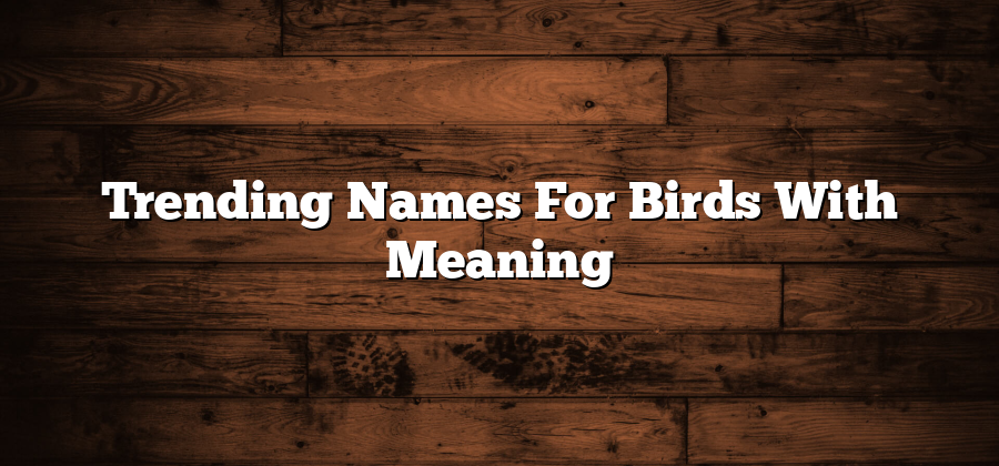 Trending Names For Birds With Meaning