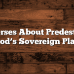 Bible Verses About Predestination: God’s Sovereign Plan