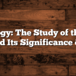 Bibliology: The Study of the Bible and Its Significance 📖