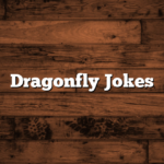 Dragonfly Jokes