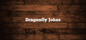 Dragonfly Jokes