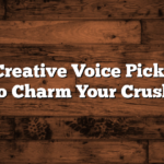 Fun and Creative Voice Pick-Up Lines to Charm Your Crush