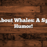 Jokes About Whales: A Splash of Humor!