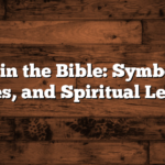 Lions in the Bible: Symbolism, Stories, and Spiritual Lessons