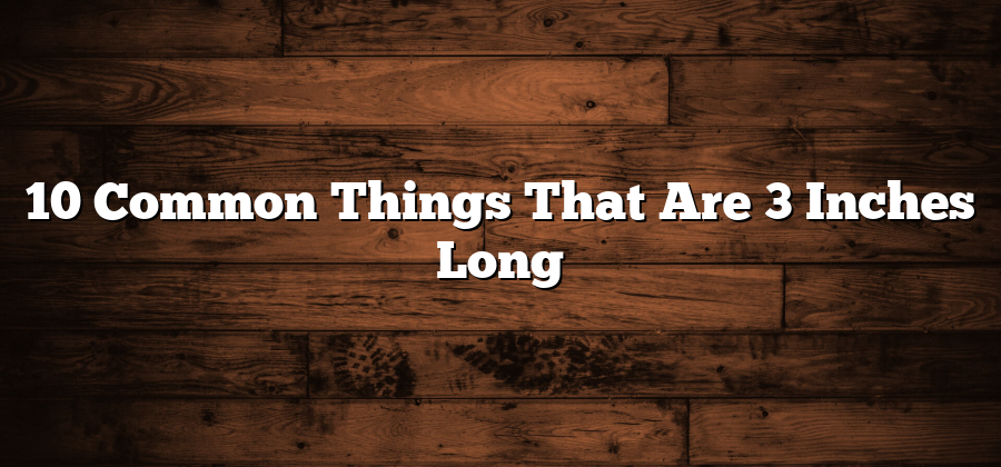 10 Common Things That Are 3 Inches Long