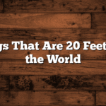 13 Things That Are 20 Feet Long in the World