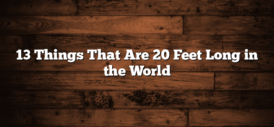 13 Things That Are 20 Feet Long in the World