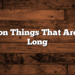 14 Common Things That Are 3 Inches Long