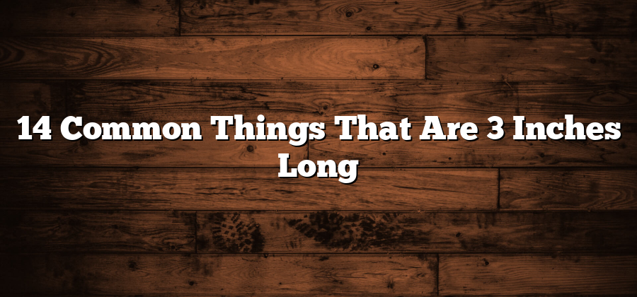 14 Common Things That Are 3 Inches Long